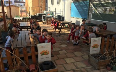 De excursión por el colegio
