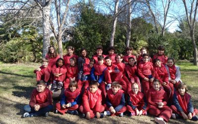 Los alumnos de tercero de primaria viajan a Mercaflor con la EMT