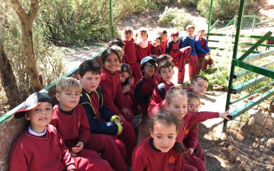 Visita a la granja escuela Pla de Estivella de los alumnos de segundo de Primaria