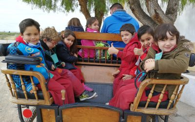 Los niños y niñas de cinco años visitan la granja escuela «Mas del Capellà»