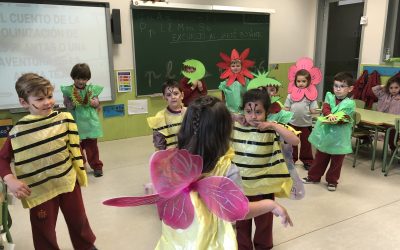 “QUI S’AMAGA AL COSSIOL?”: un proyecto para Educación Infantil de cuatro años
